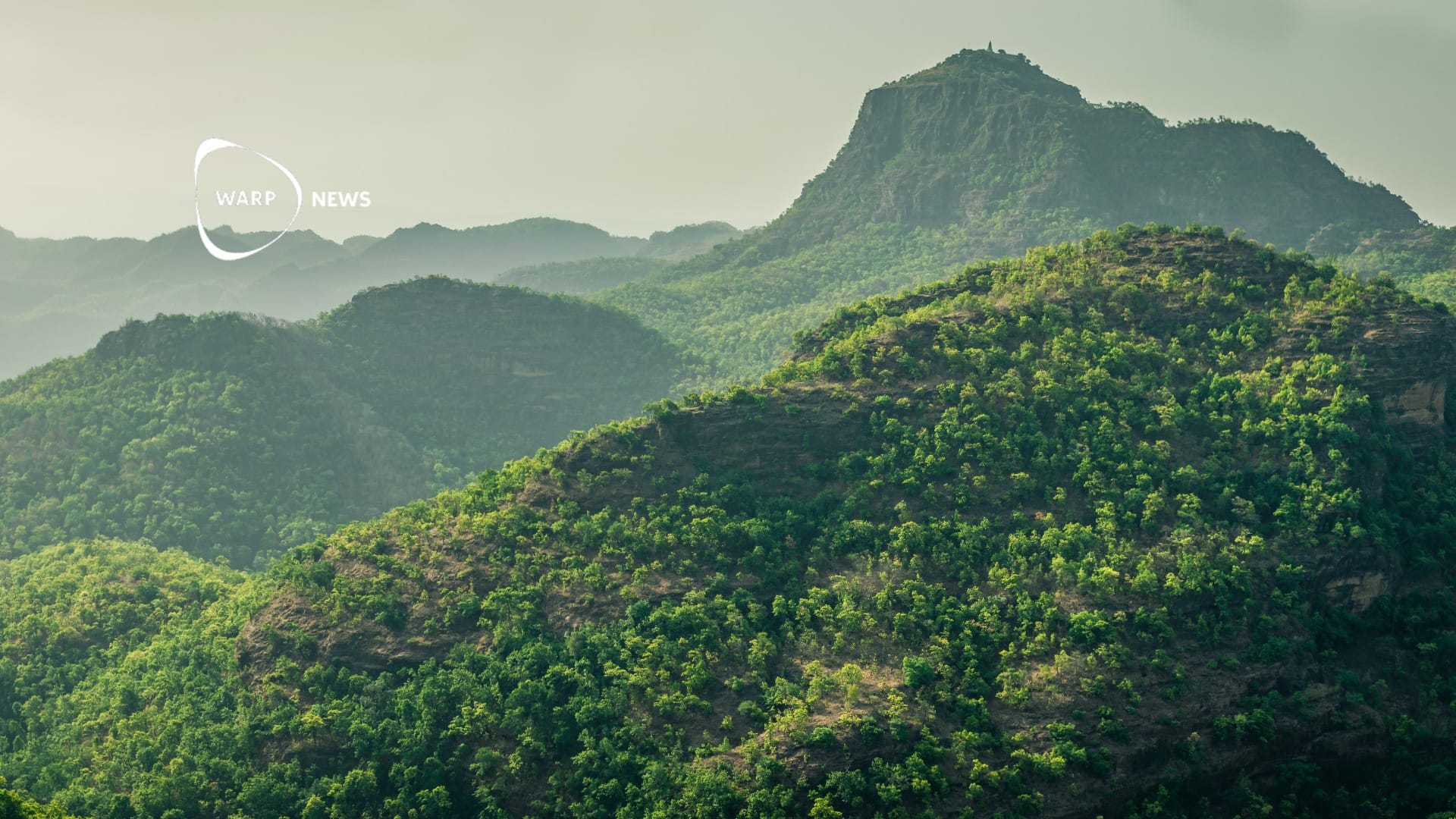 🌳 India's forests have steadily increased over the past 15 years