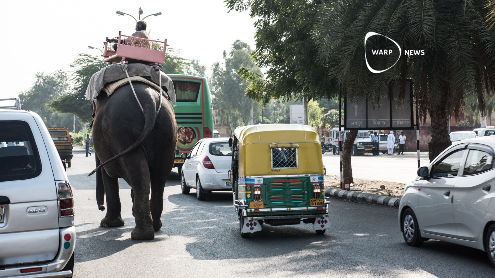 🚑 New Indian traffic safety model to save lives in poor countries