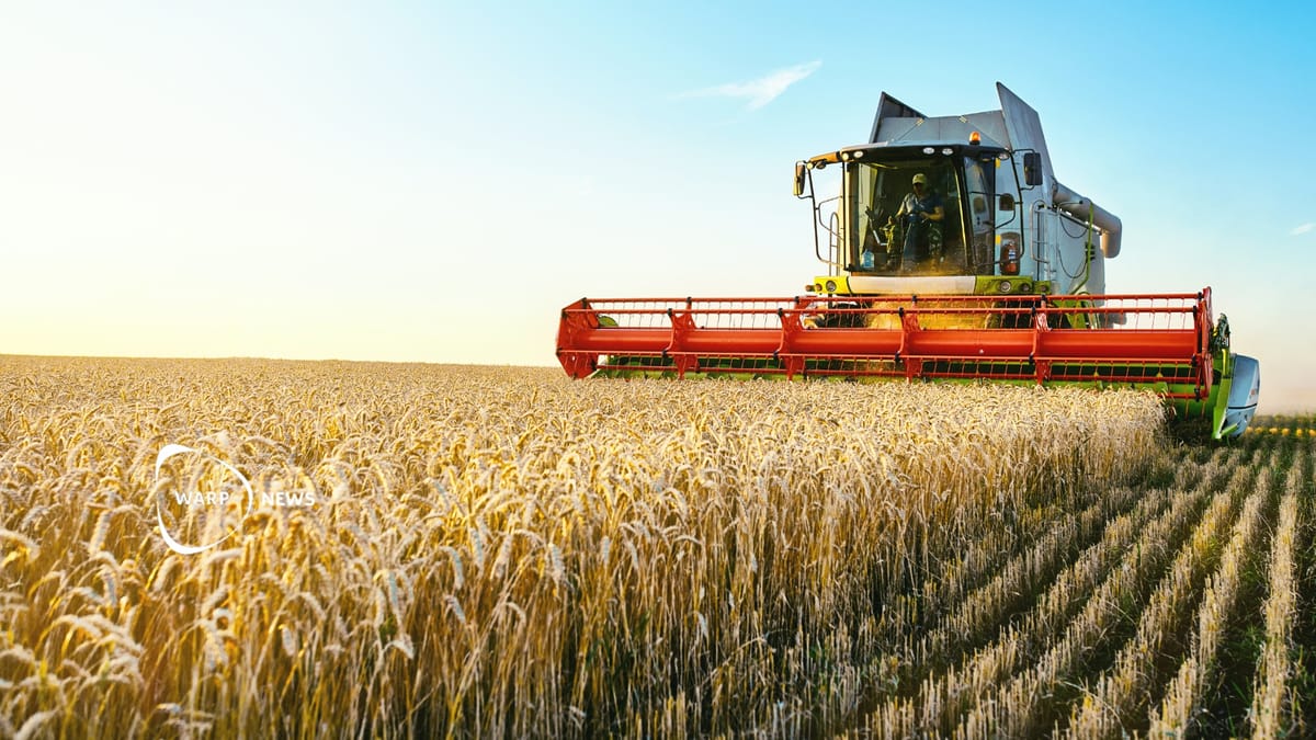 🌾 Record harvests lead to lower food prices