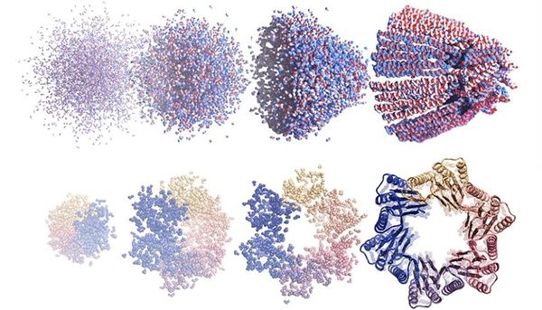 🎨 AI Art Generation Creates A Revolution In Protein Design